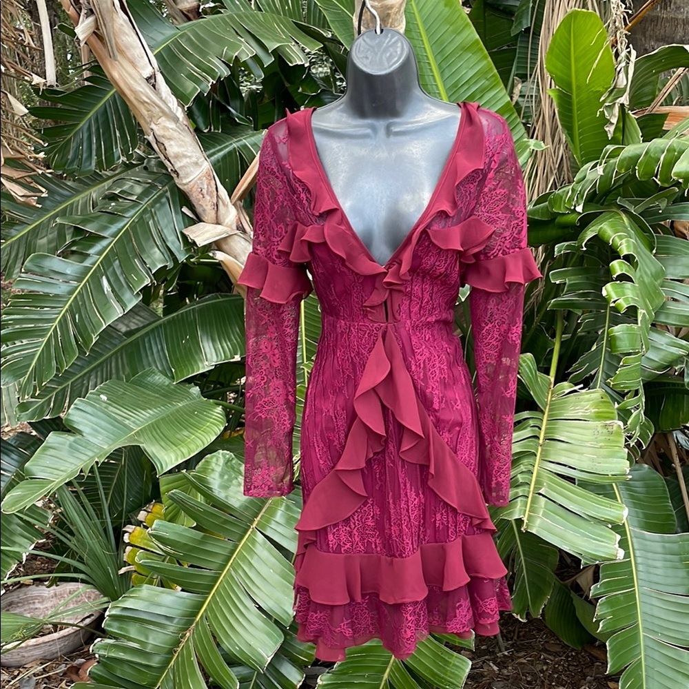 For love and lemons, sheer ruffled dress